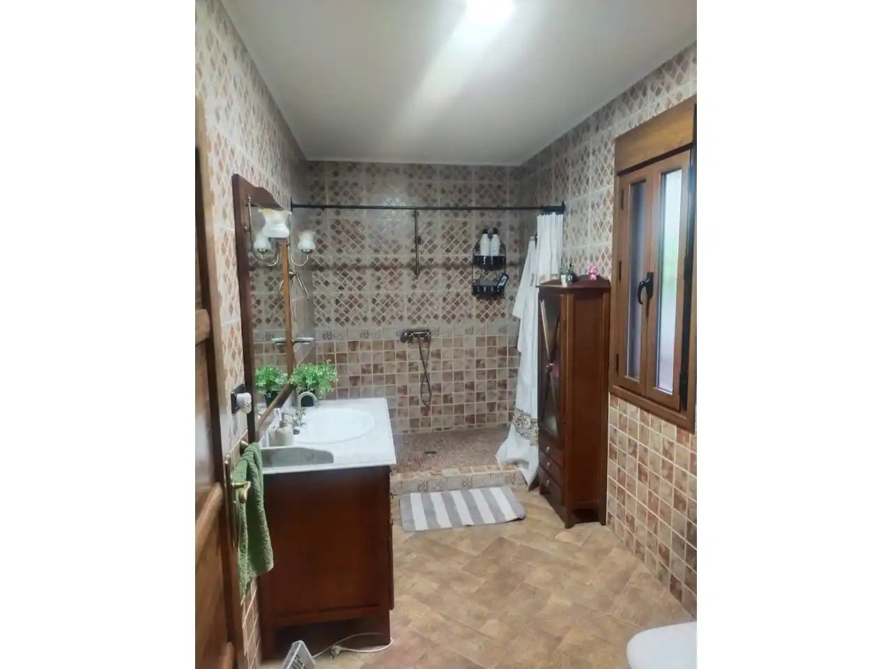 Bany de Finca rústica en venda en Alhambra amb Aire condicionat, Jardí privat i Terrassa