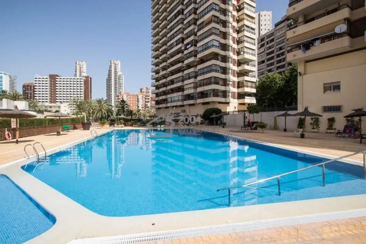 Swimming pool of Study for sale in Benidorm  with Air Conditioner, Terrace and Furnished