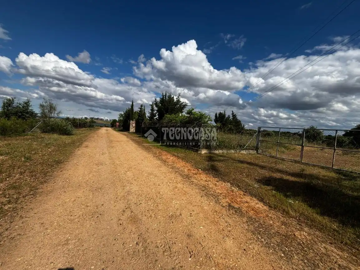 Finca rústica en venta en Carretera de Sevilla - Los Montitos