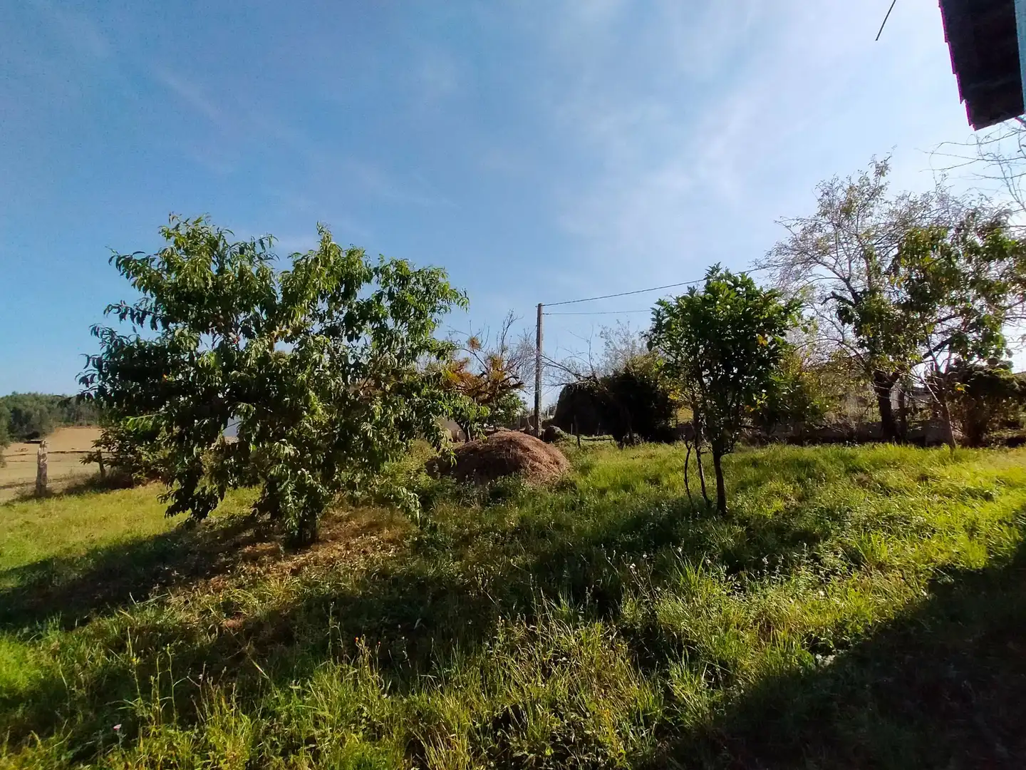 Casa rustica con giardino in vendita a Pravia, imagen 55