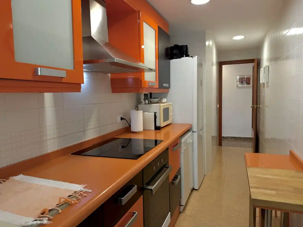 Kitchen of Apartments for rent in Els Terrers