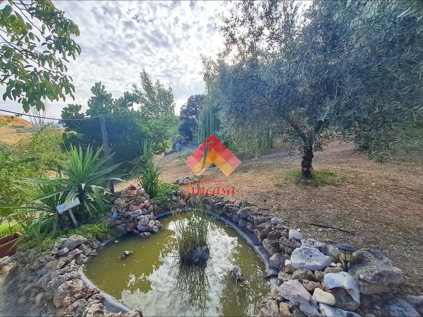 House with pool for sale in Casco Histórico, imagen 13