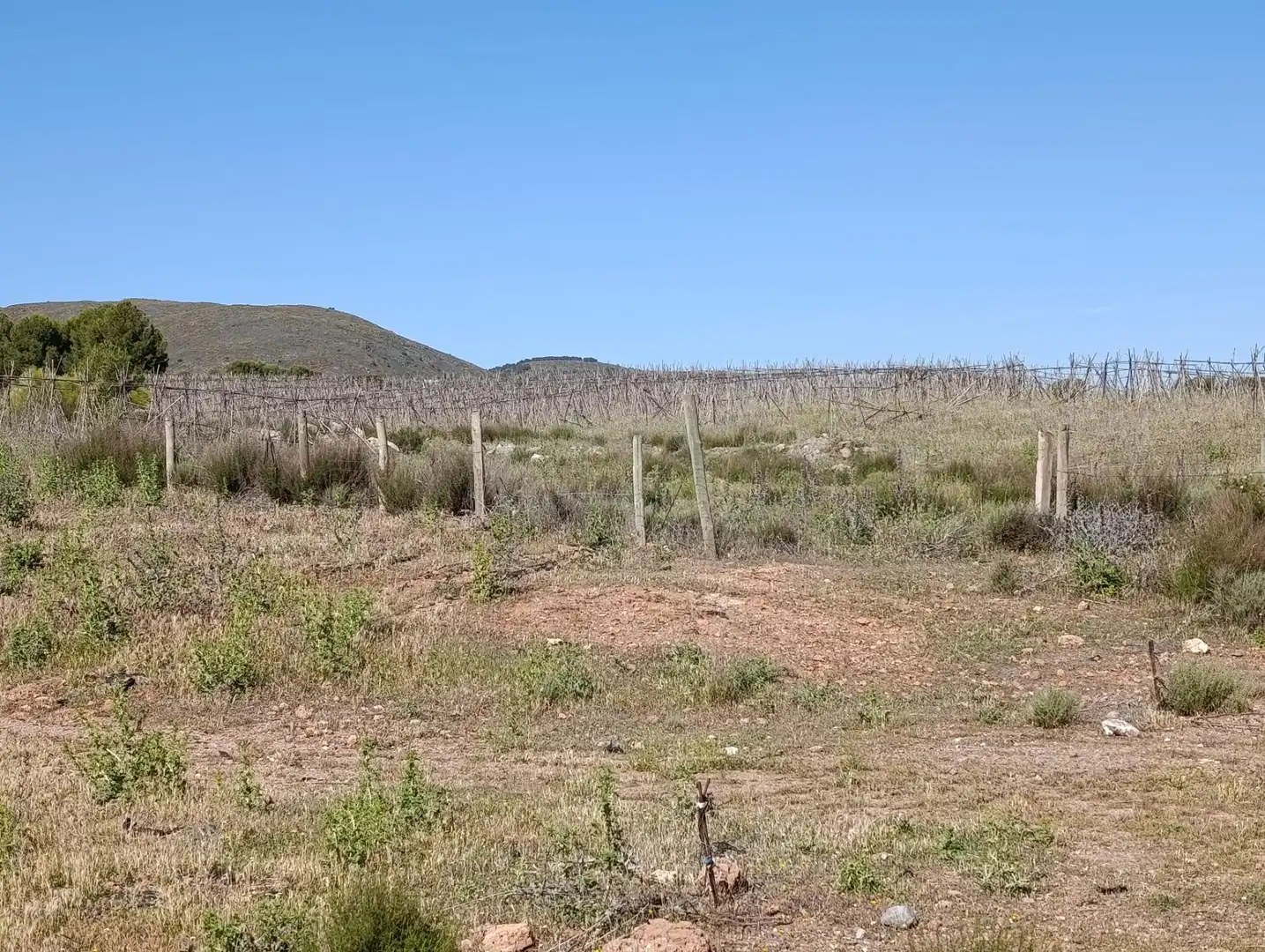 Rural land for sale in Laujar de Andarax, imagen 35