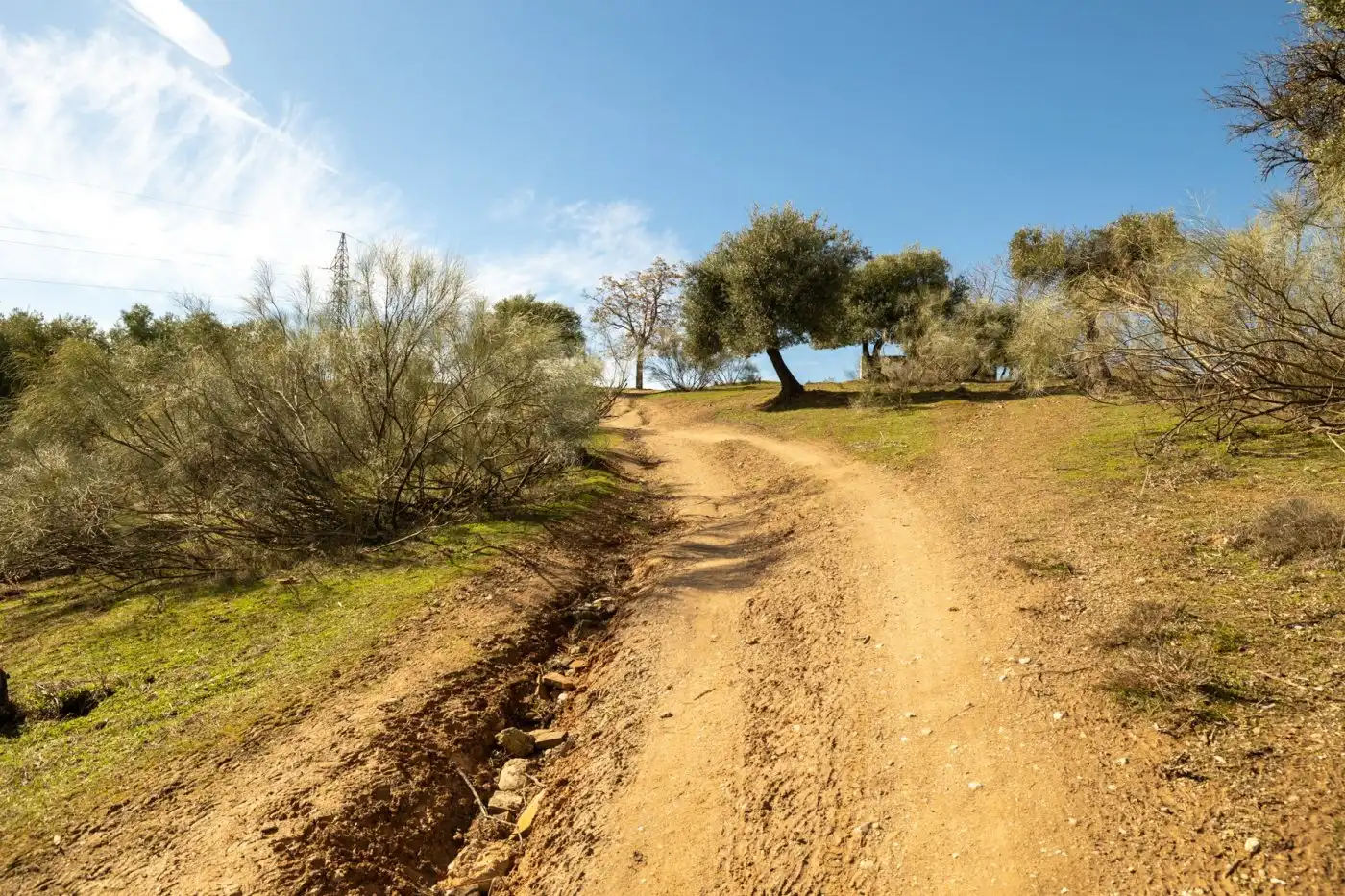 Country house for sale in Albaicín, imagen 36