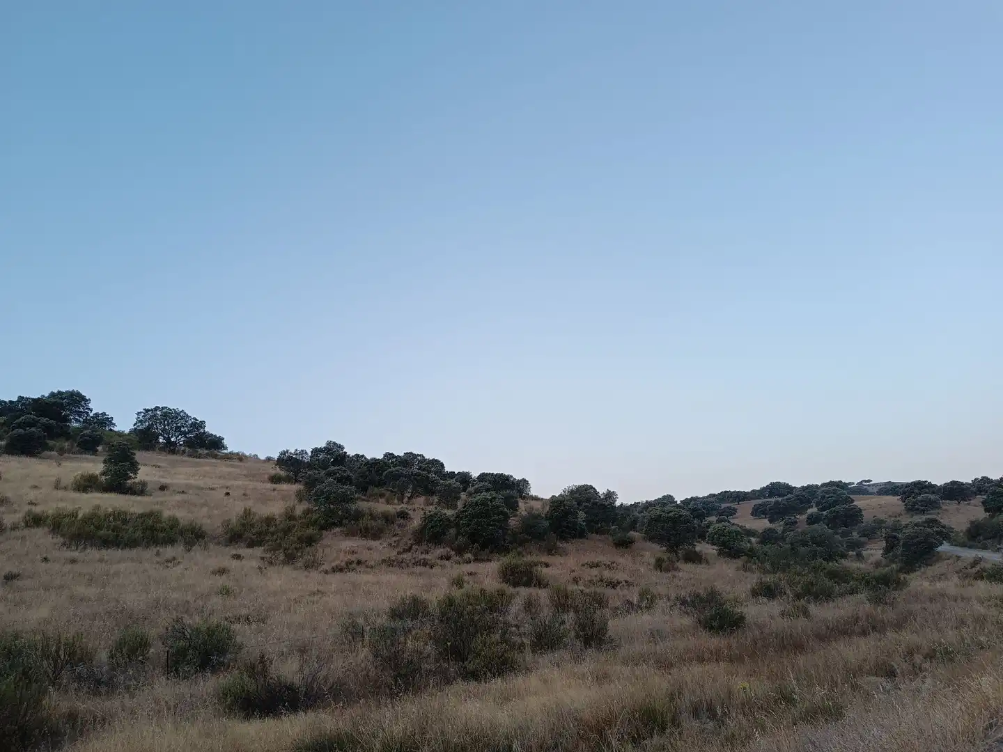 Residencial en venda a Alía