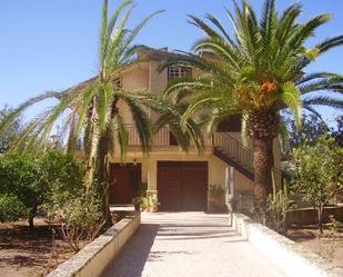 Vista exterior de Casa o xalet en venda en Lorca amb Calefacció, Jardí privat i Parquet