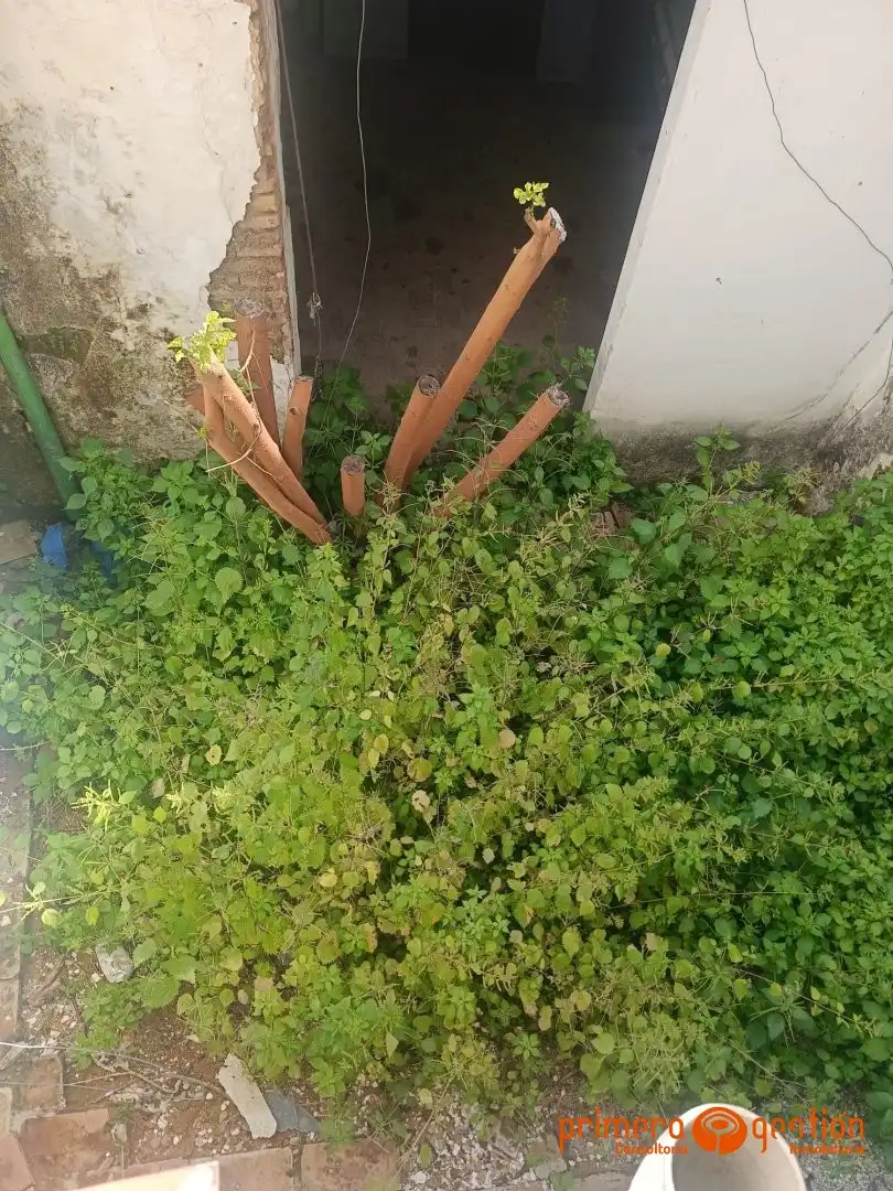 Casa o chalet en venta en Carmona