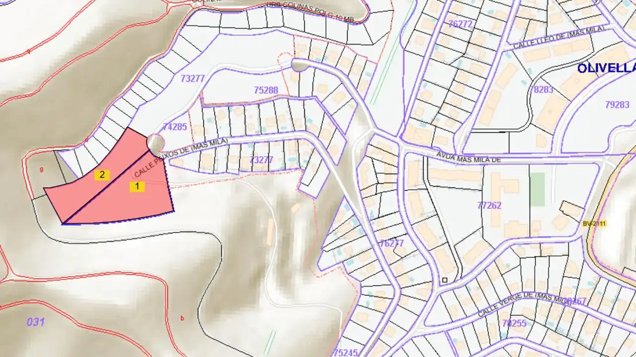 Rural land for sale in C/ Peixos (Urb Más Milá), imagen 2