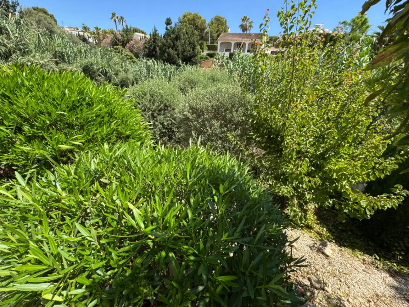 Detached house with pool for sale in Cala Advocat - Baladrar, imagen 53