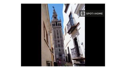 Photo 2 of Apartment to share in Alfalfa - Santa Cruz, Sevilla