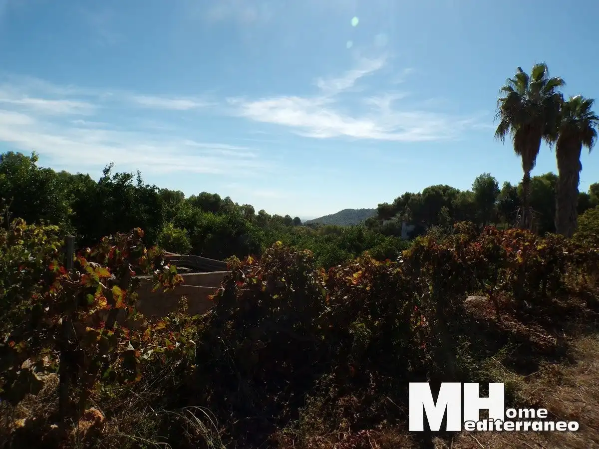 Rural land for sale in LES CHARRETES 15, imagen 13