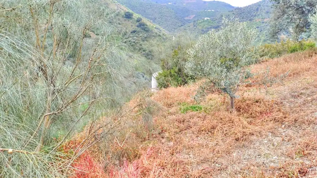 Terreni e lotti in vendita a Comares, imagen 19