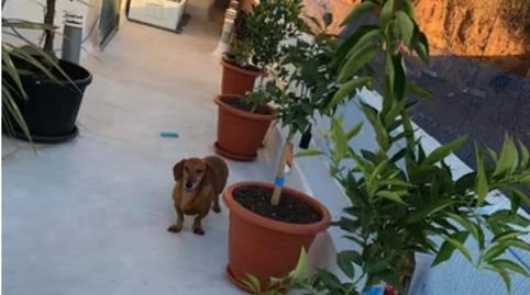 Photo 2 of Single-family semi-detached for sale in Fiñana, Almería