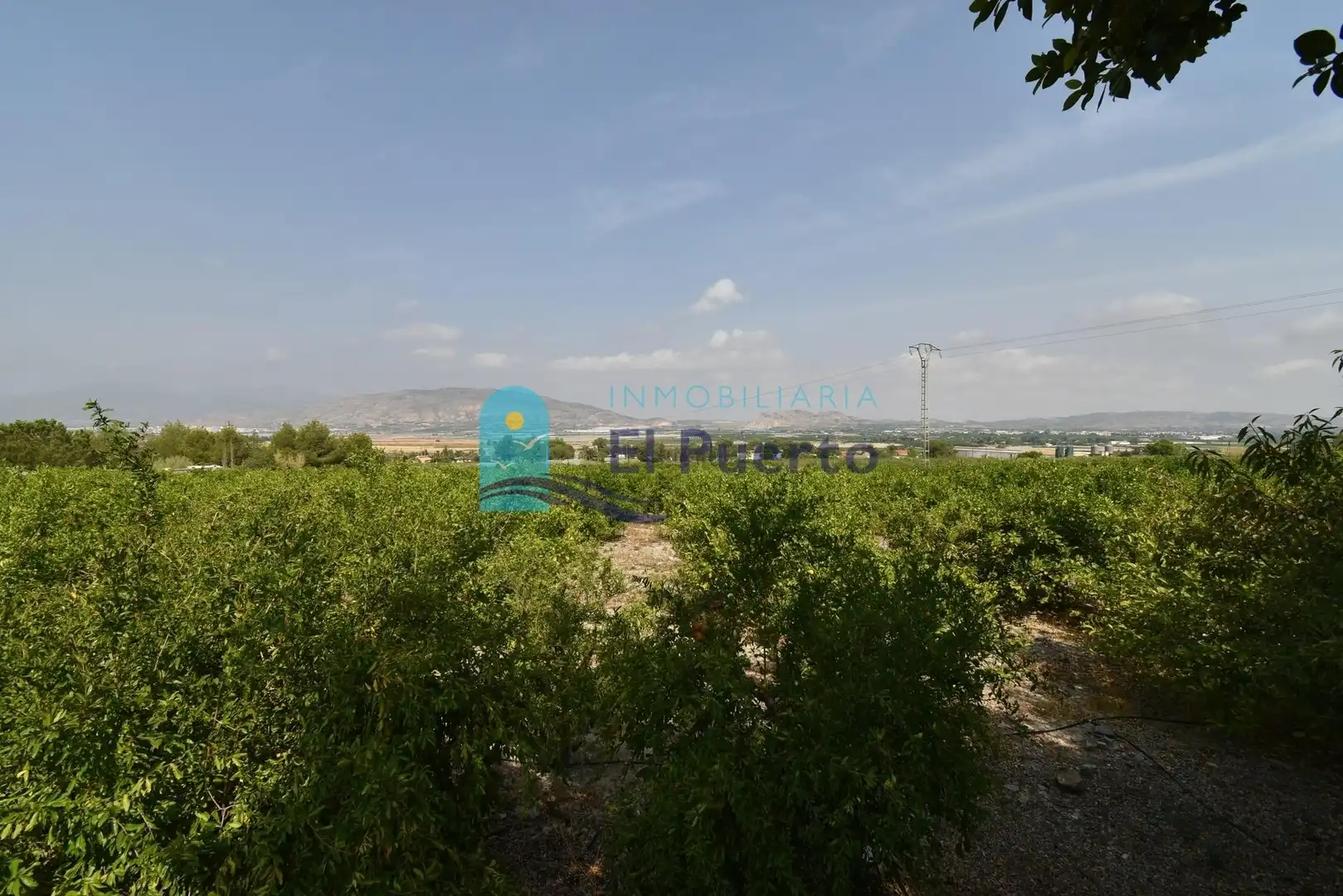 Casa o xalet en venda en Alhama de Murcia amb Jardí privat, Terrassa i Moblat
