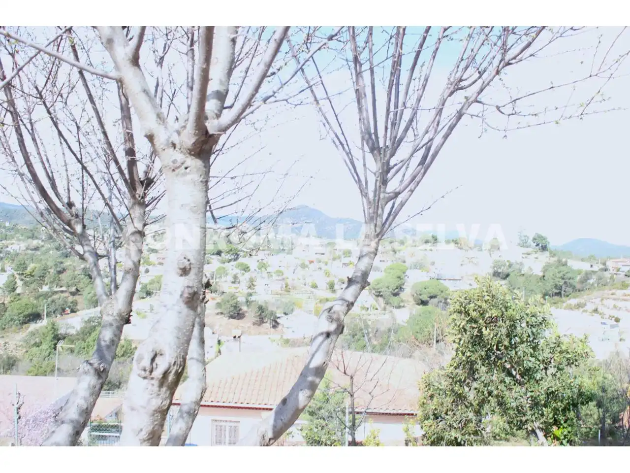 House with pool for sale in Calle Romaní, imagen 29