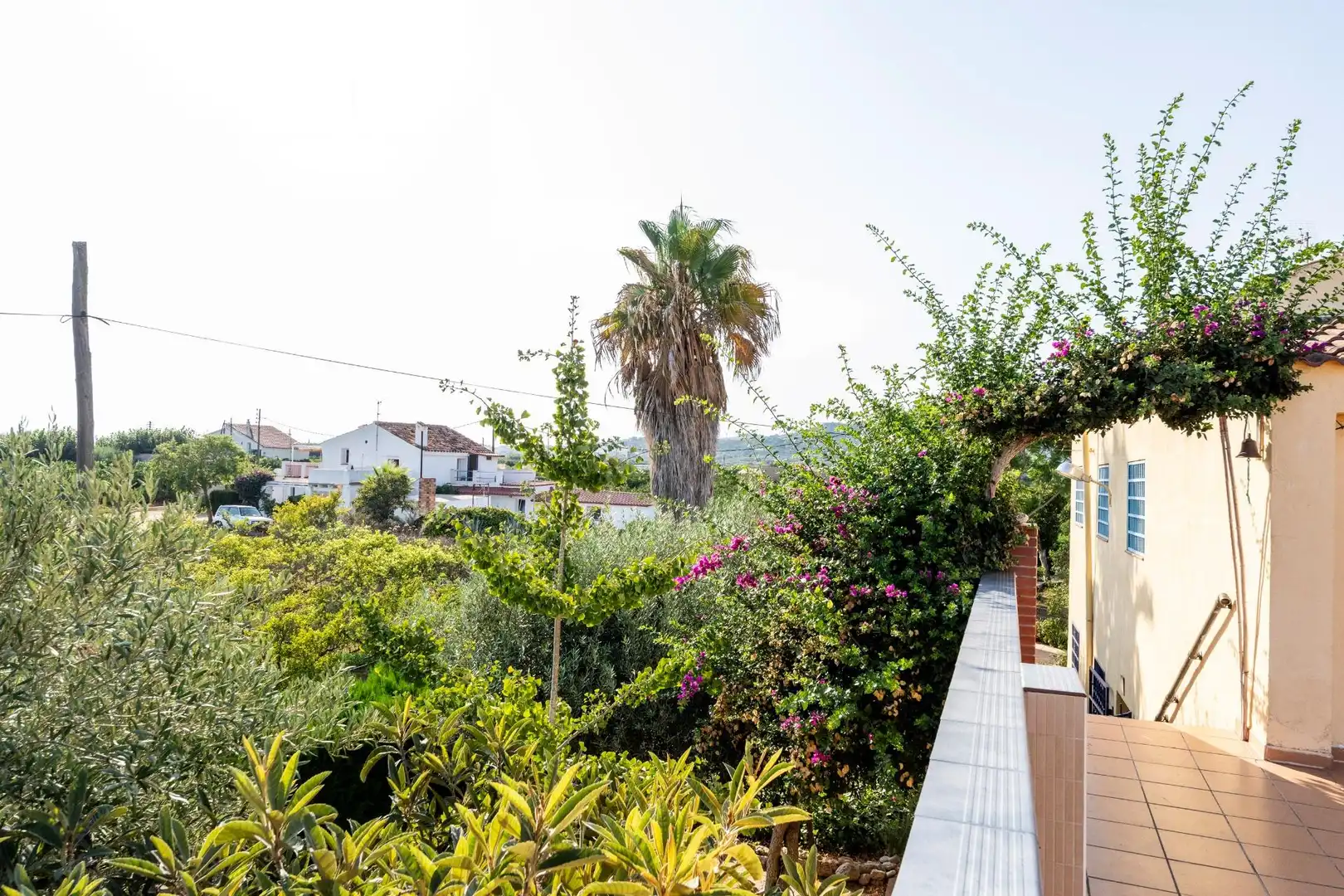 Casa rustica con giardino in vendita a Alcanar, imagen 12