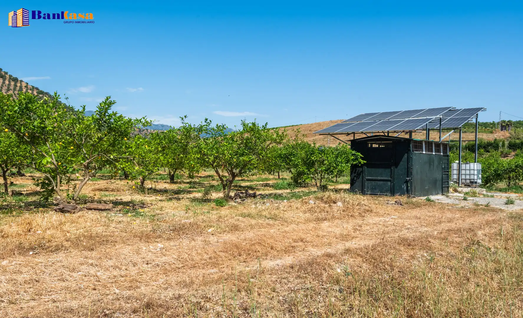 Terreno en venta en Pizarra
