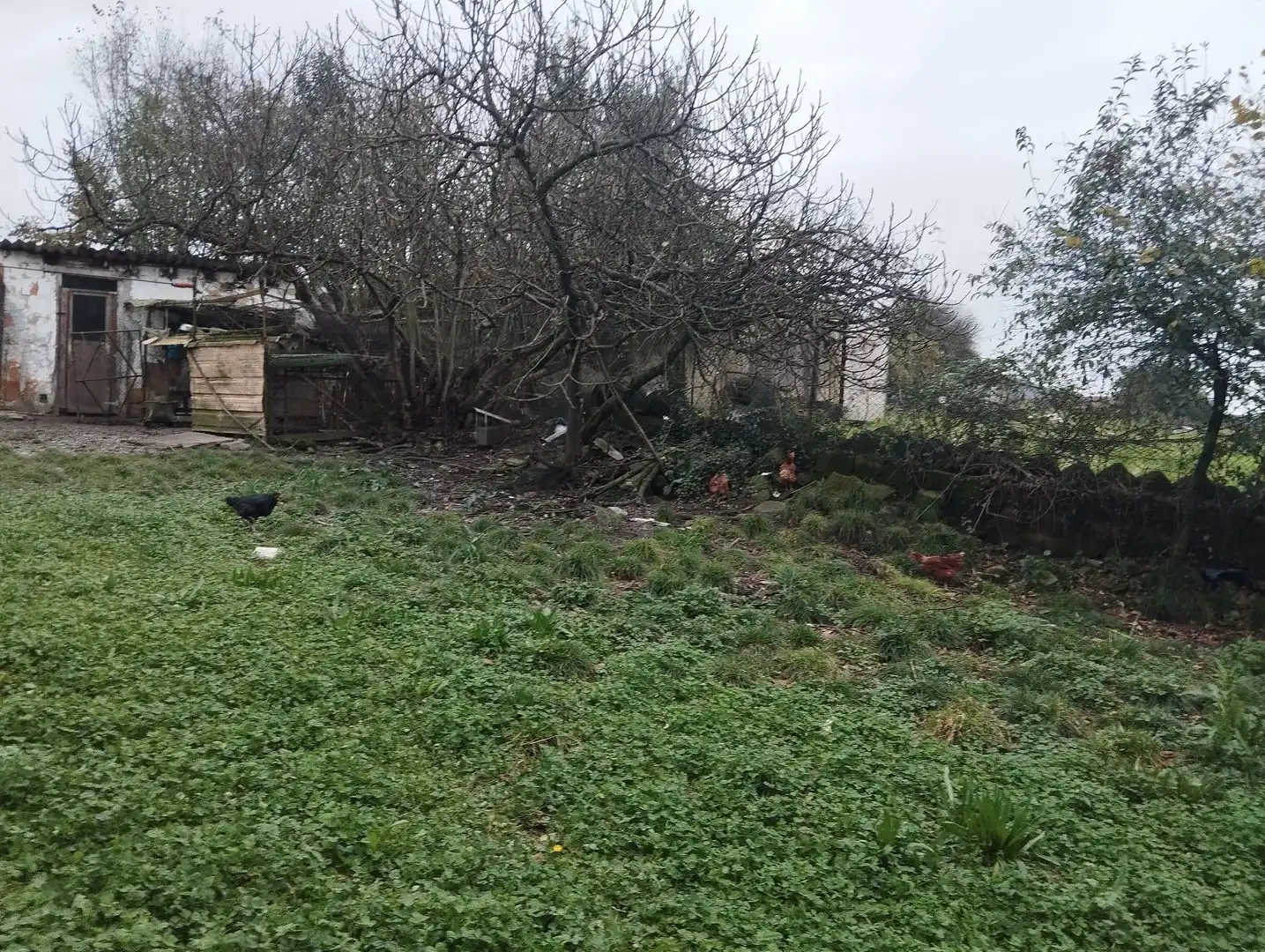 Haus mit Garten zum Verkauf in SAN PEDRO, imagen 15