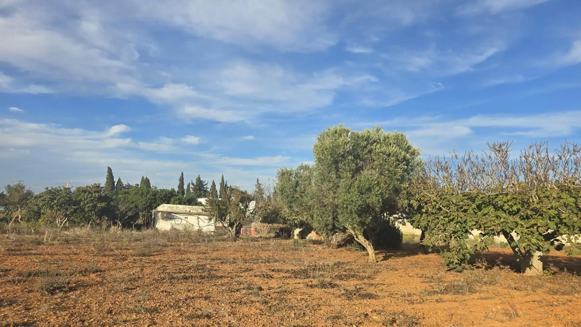 Land for sale in Los Franceses – La Vega