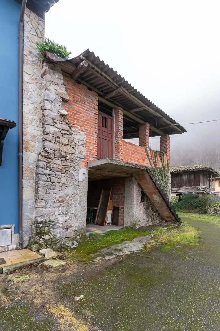 Vista exterior de Finca rústica en venta en Amieva