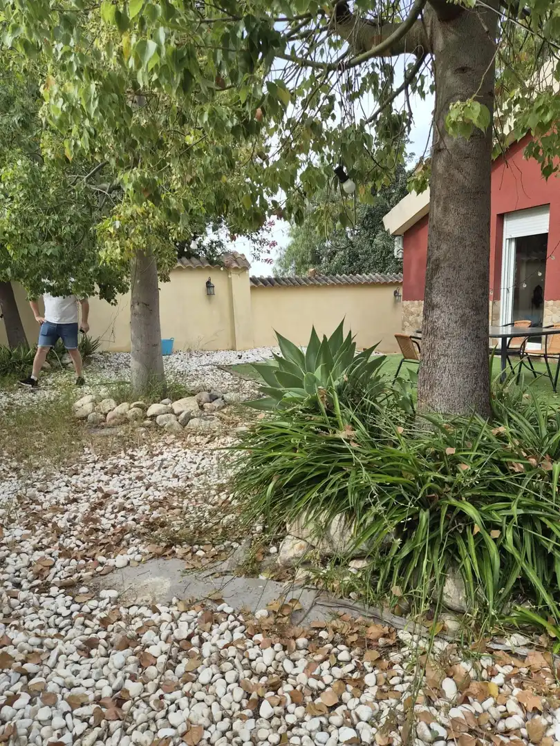 Jardí de Casa o xalet en venda en Alguazas amb Aire condicionat, Jardí privat i Moblat
