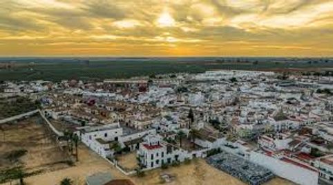 PROMOCION DE VIVIENDAS EN ALJARAFE SEVILLANO, imatge 5