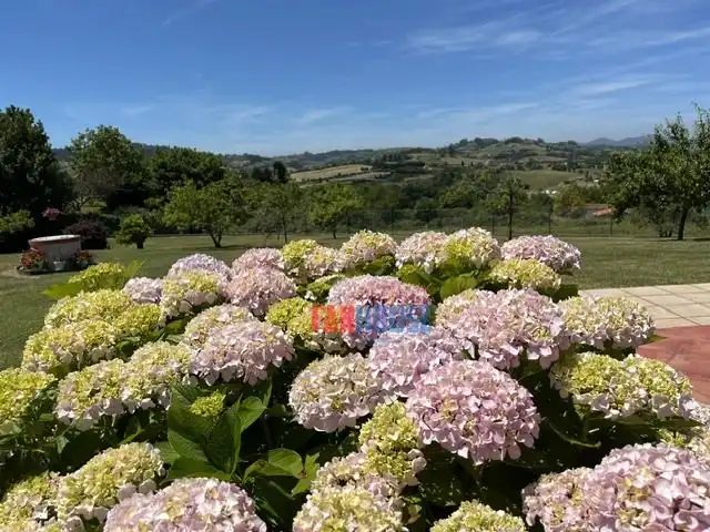Jardín de Casa o chalet en venta en Gijón  con Calefacción, Terraza y Trastero