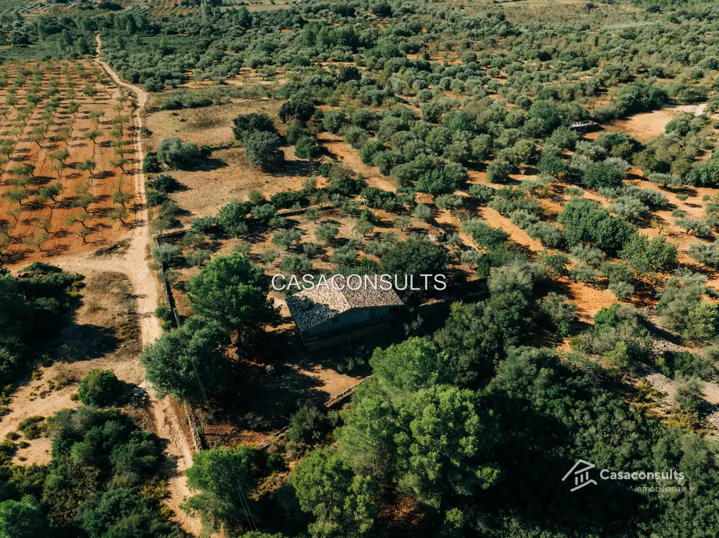Casa rustica con terrazza in vendita a Vall d'Alba, imagen 6