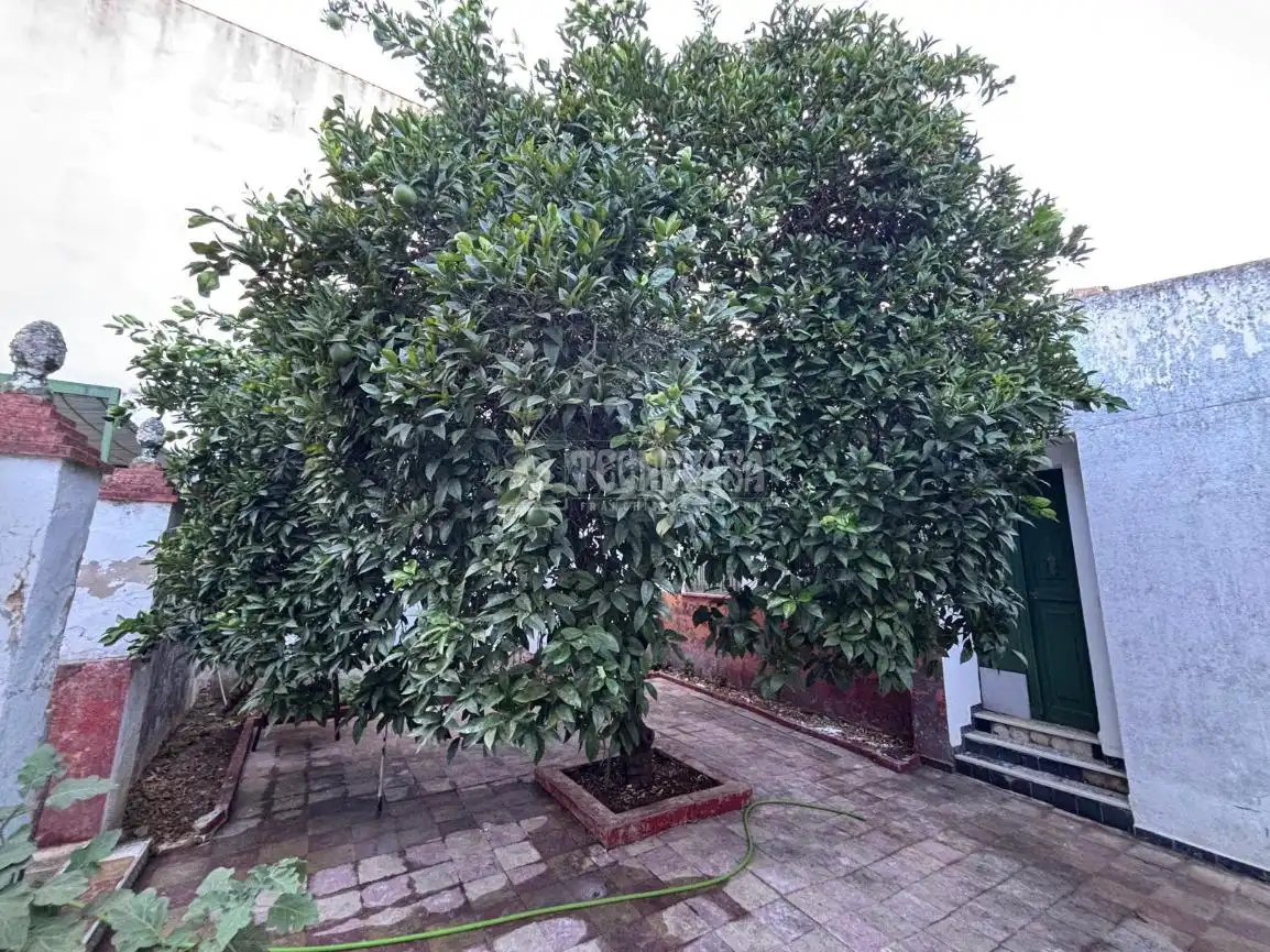 Casa en venda a Pilas, imagen 18