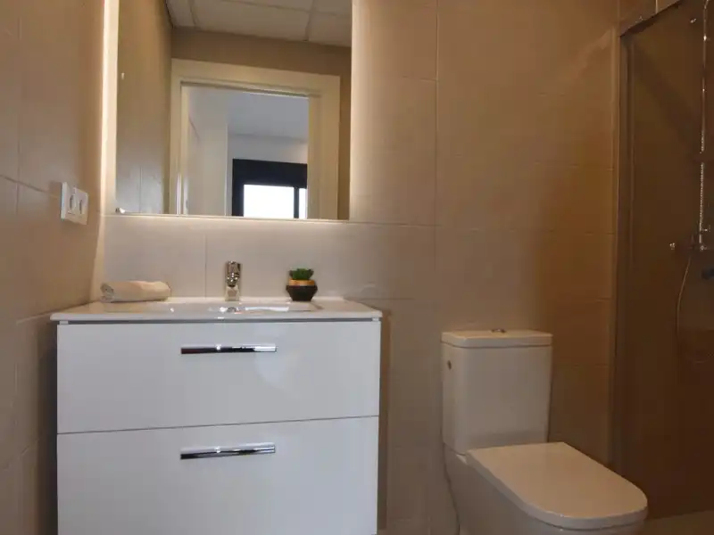Bany de Àtic en venda en Torrevieja amb Aire condicionat, Calefacció i Jardí privat