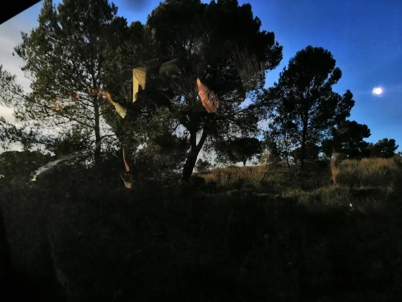 Terrenys i solars en venda a Calle ALBATANA A JUMILLA, imagen 8