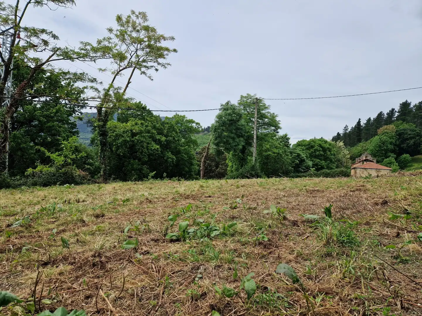 Finca rústica en venda en Valle de Mena amb Jardí privat