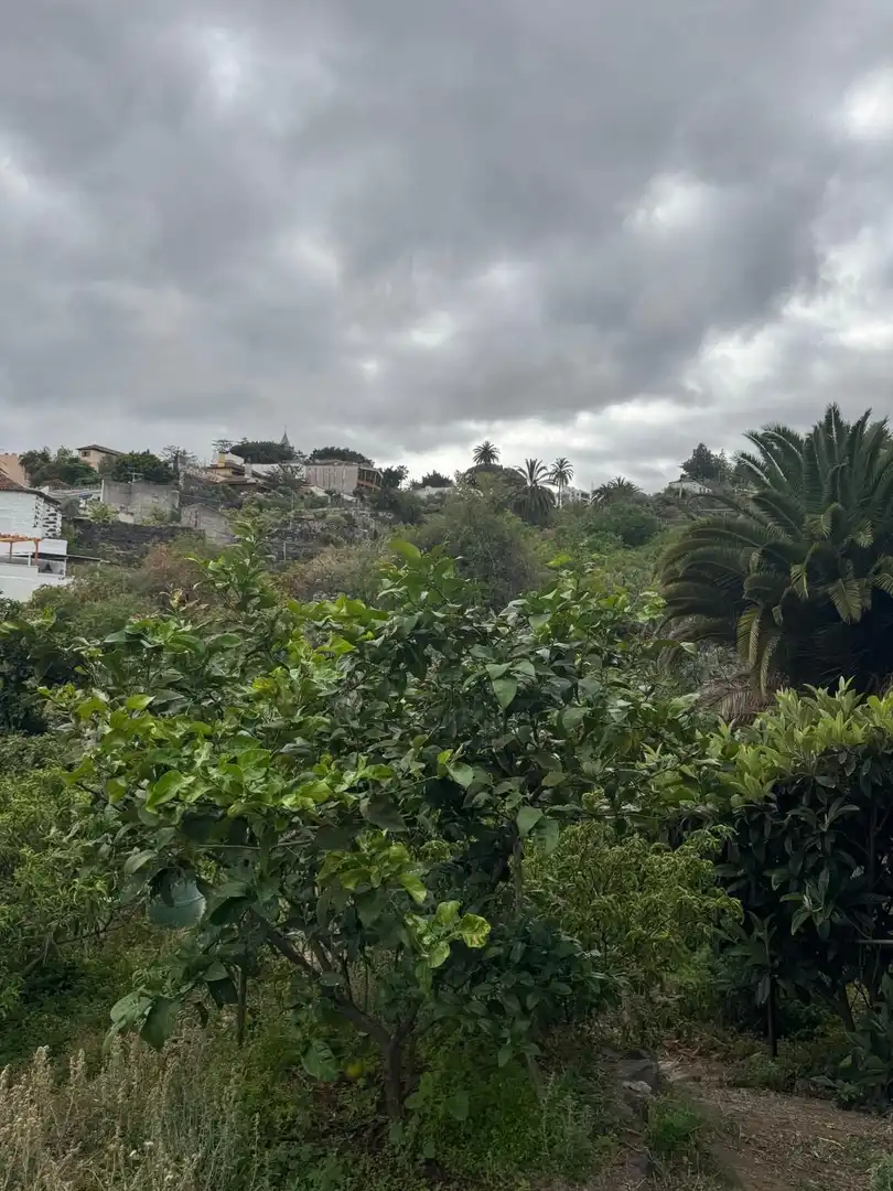 Terreny en venda en Icod de los Vinos