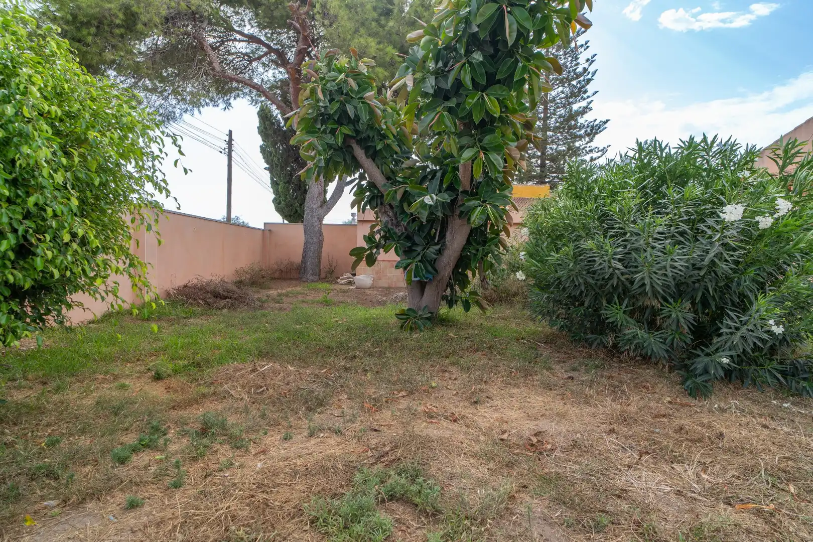 Casa amb jardí en venda a Los Balcones - Los Altos, imagen 10