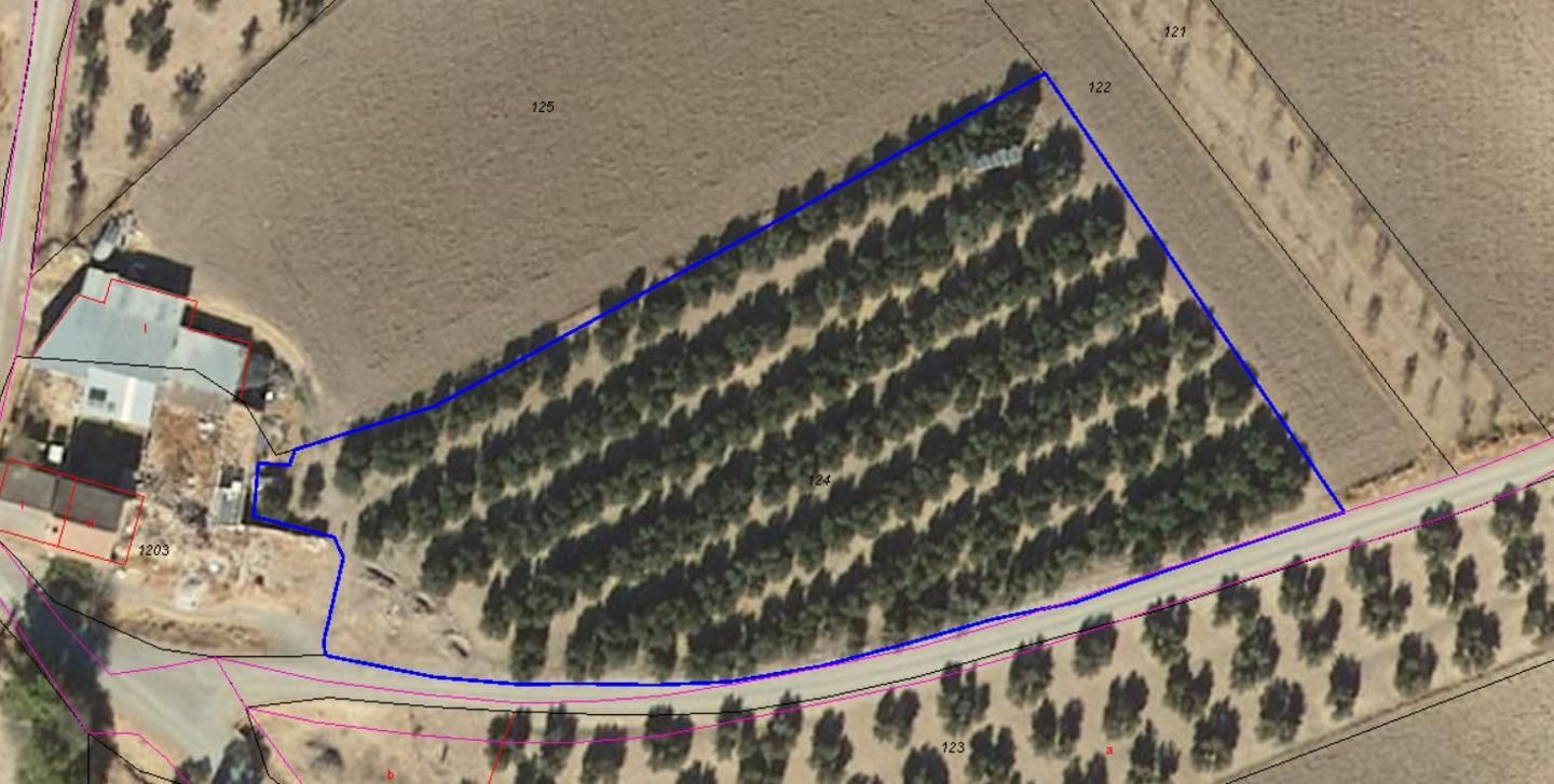 Grundstücke zum verkauf in Benalúa de las Villas