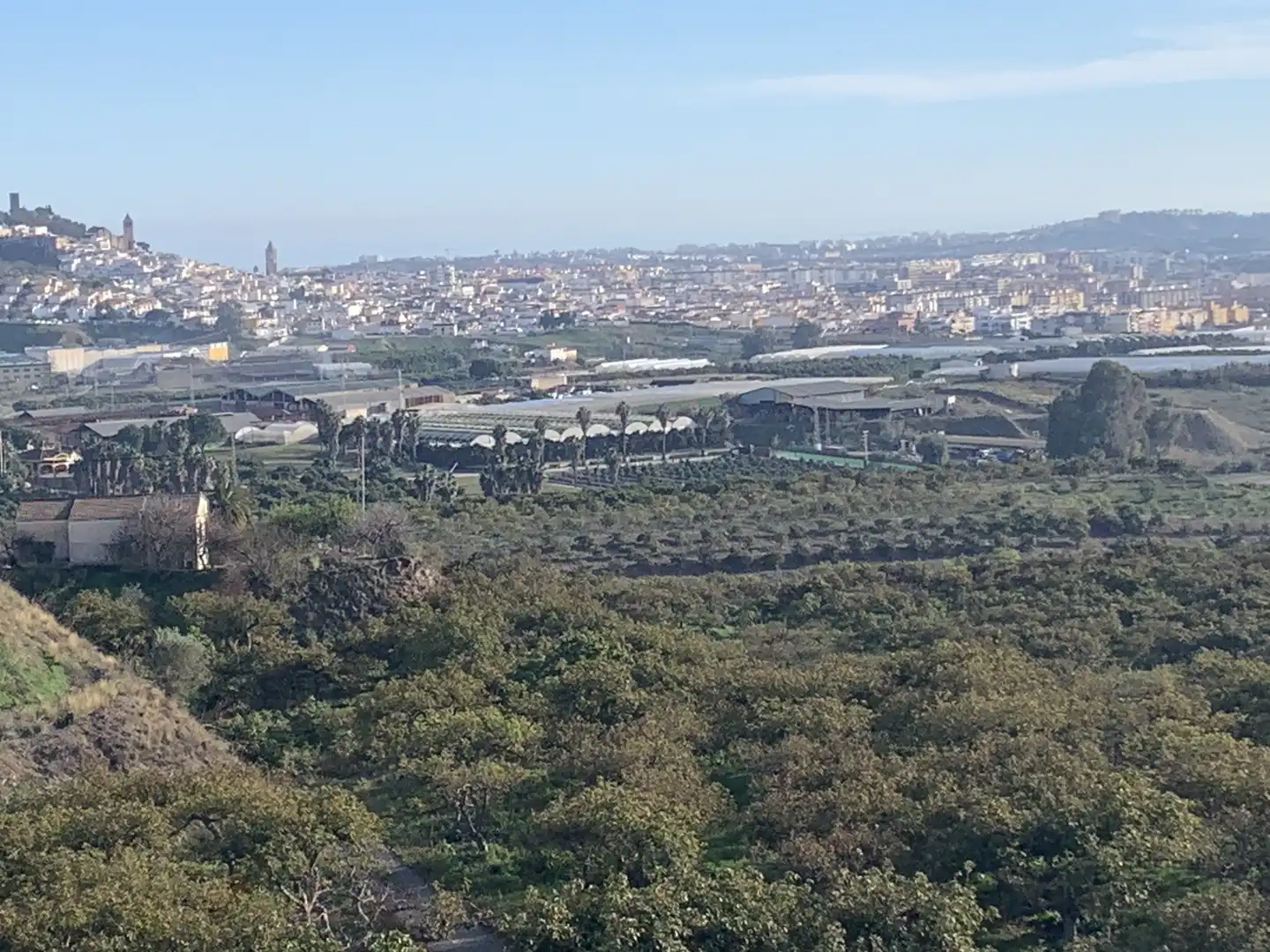 Vista exterior de Finca rústica en venta en Vélez-Málaga con Aire acondicionado, Jardín privado y Terraza