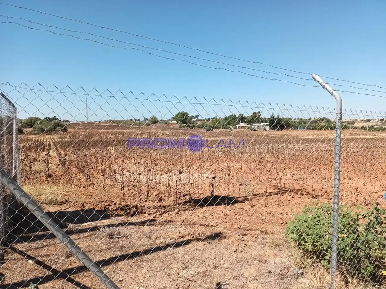 Terrenos y solares en venta en A8052