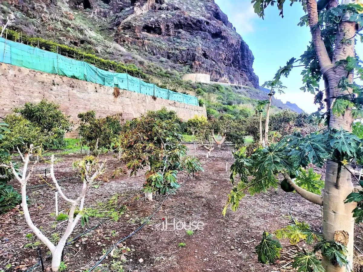 Terreno en venta en PUNTA DE TENO, Buenavista del Norte