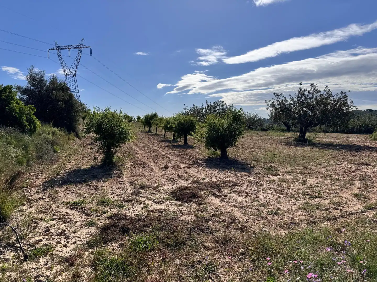 Land for sale in Polígono 26 Parcela 21 CASA BLANCA-BARBETA. TORRE, 26, Poligono Mas del Jutge