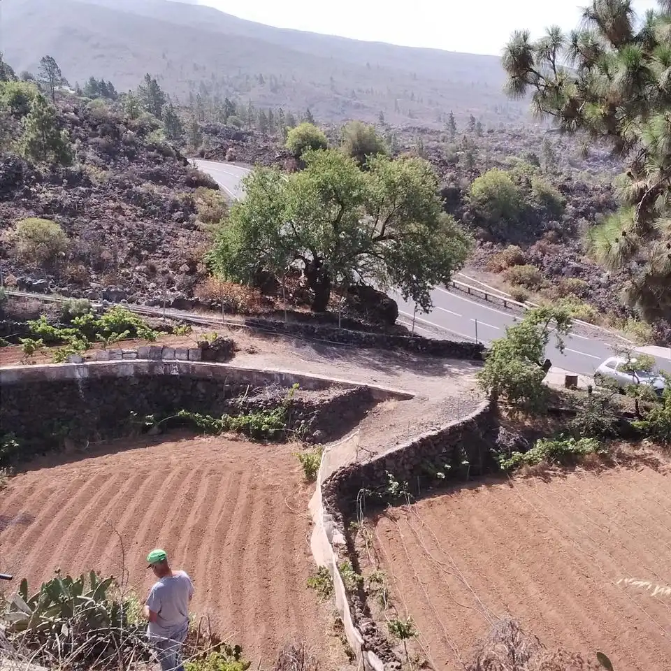 Terreny rústic en venda a Chío, imagen 16