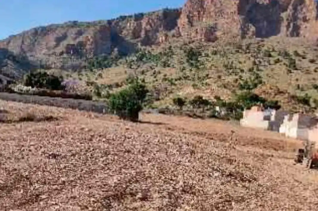 Terreny residencial en venda a Orihuela ciudad, imagen 4