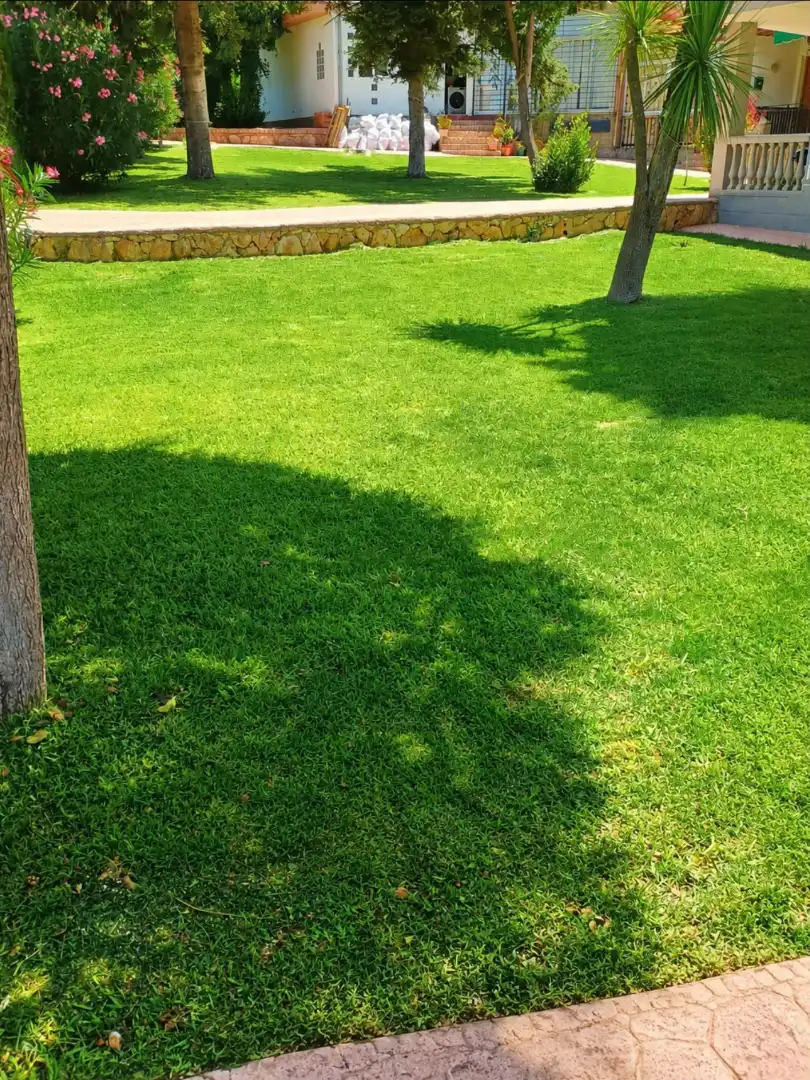Bungalow amb piscina de lloguer a Calle C-1 39, imagen 4