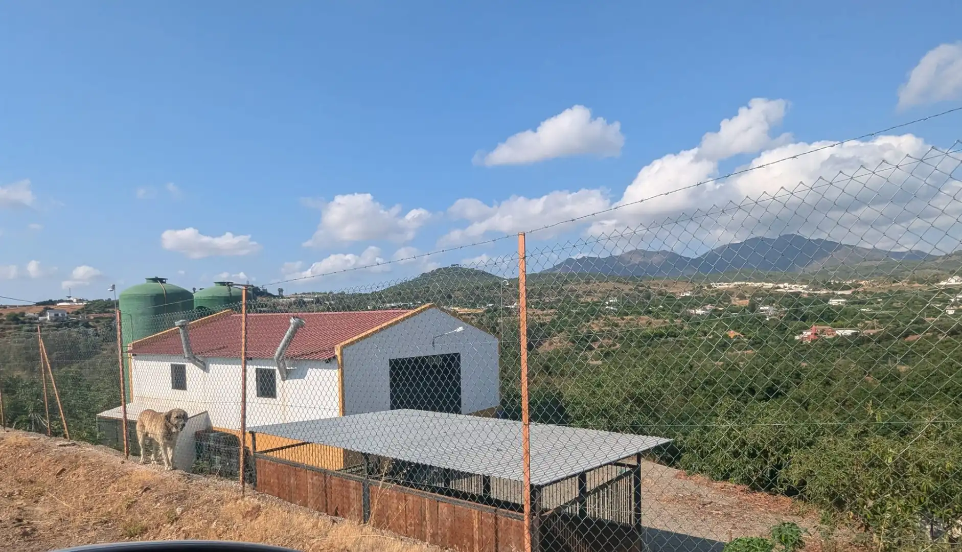 Terreno rustico in vendita a N/A, imagen 5