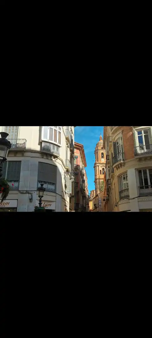 Büro mit Aufzug zur Miete in Calle Sancha de Lara, imagen 4