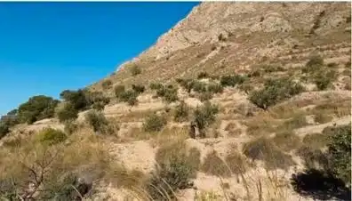 Terrenys i solars en venda a Abanilla, imagen 5