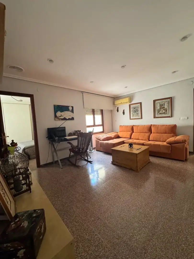 Sala d'estar de Pis en venda en Elche / Elx amb Aire condicionat, Calefacció i Jardí privat