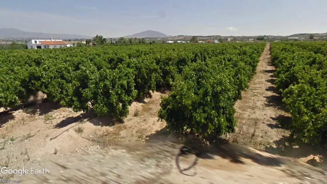 Terreno rústico en venta en Huércal-Overa, imagen 4