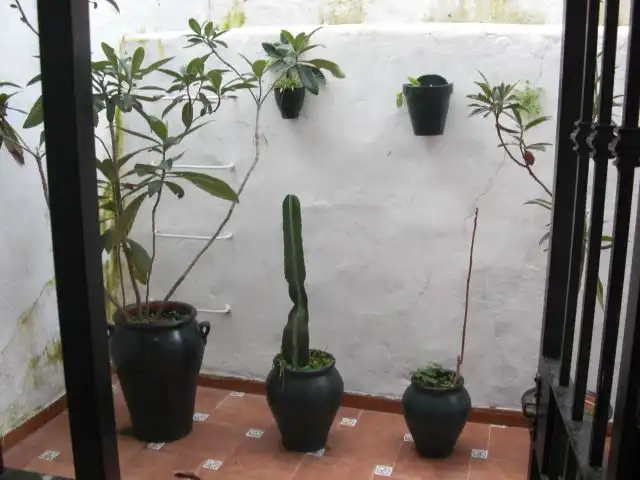 Flat with terrace for sale in Vejer, imagen 15