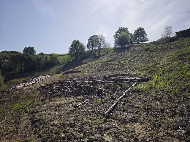 Terreno en Venta en Oruña