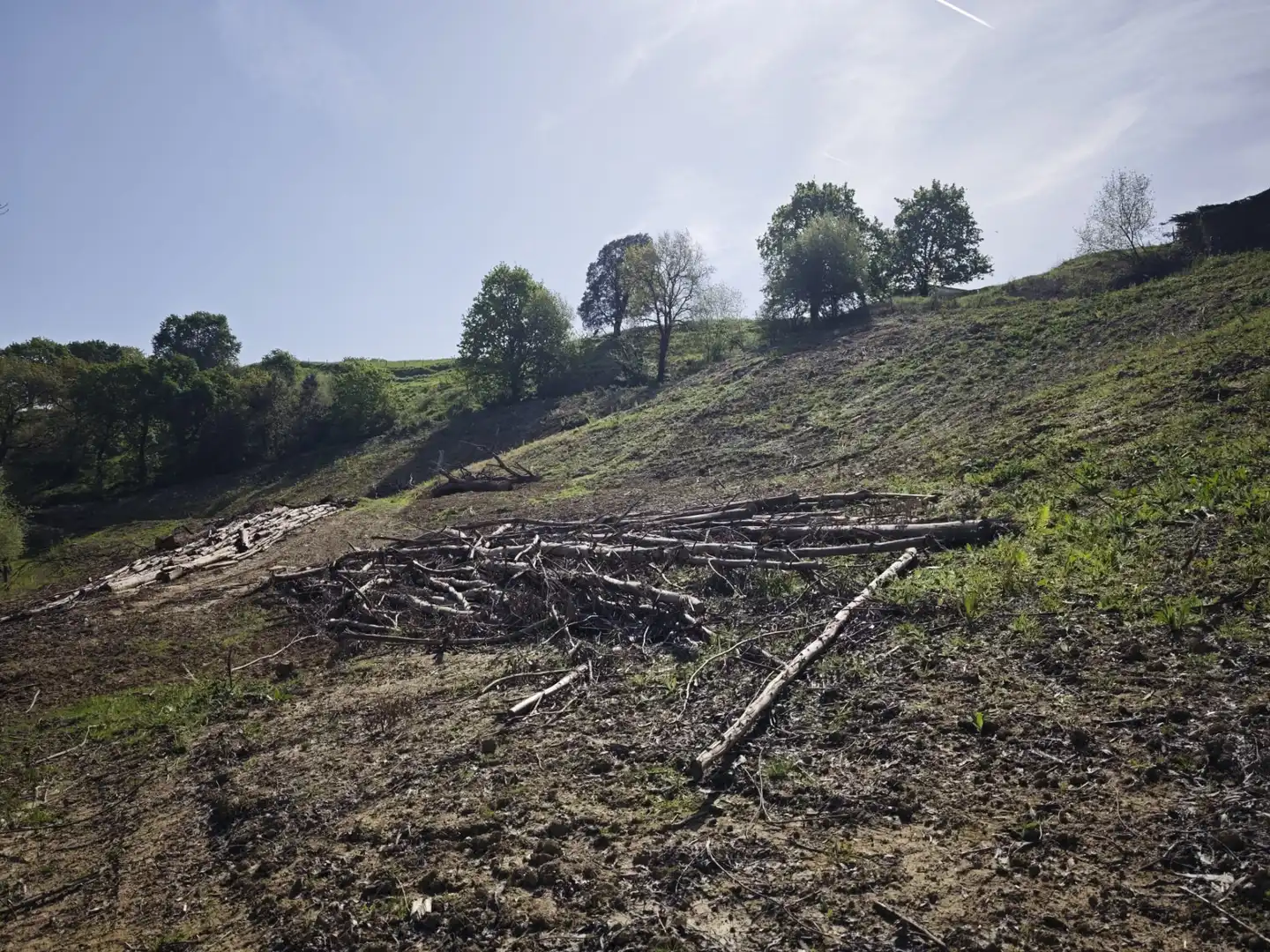 Land for sale in Piélagos